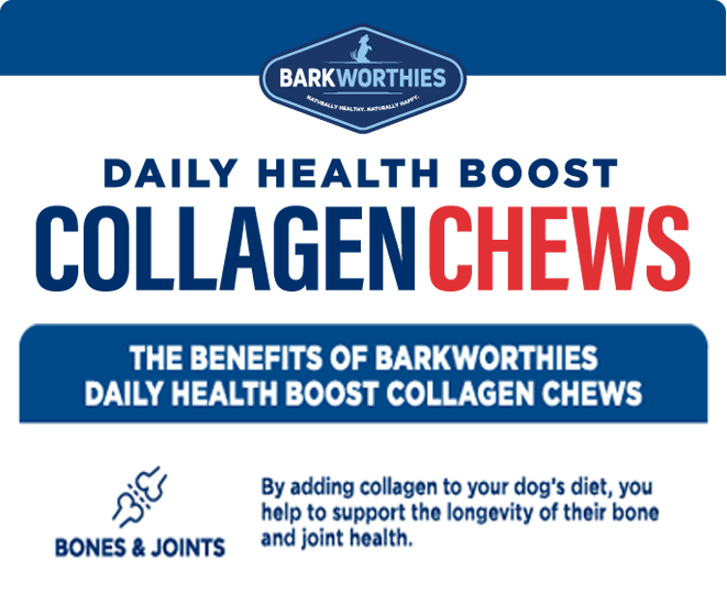 10″ Collagen Stick Dog Chews - Pumpkin Flavor