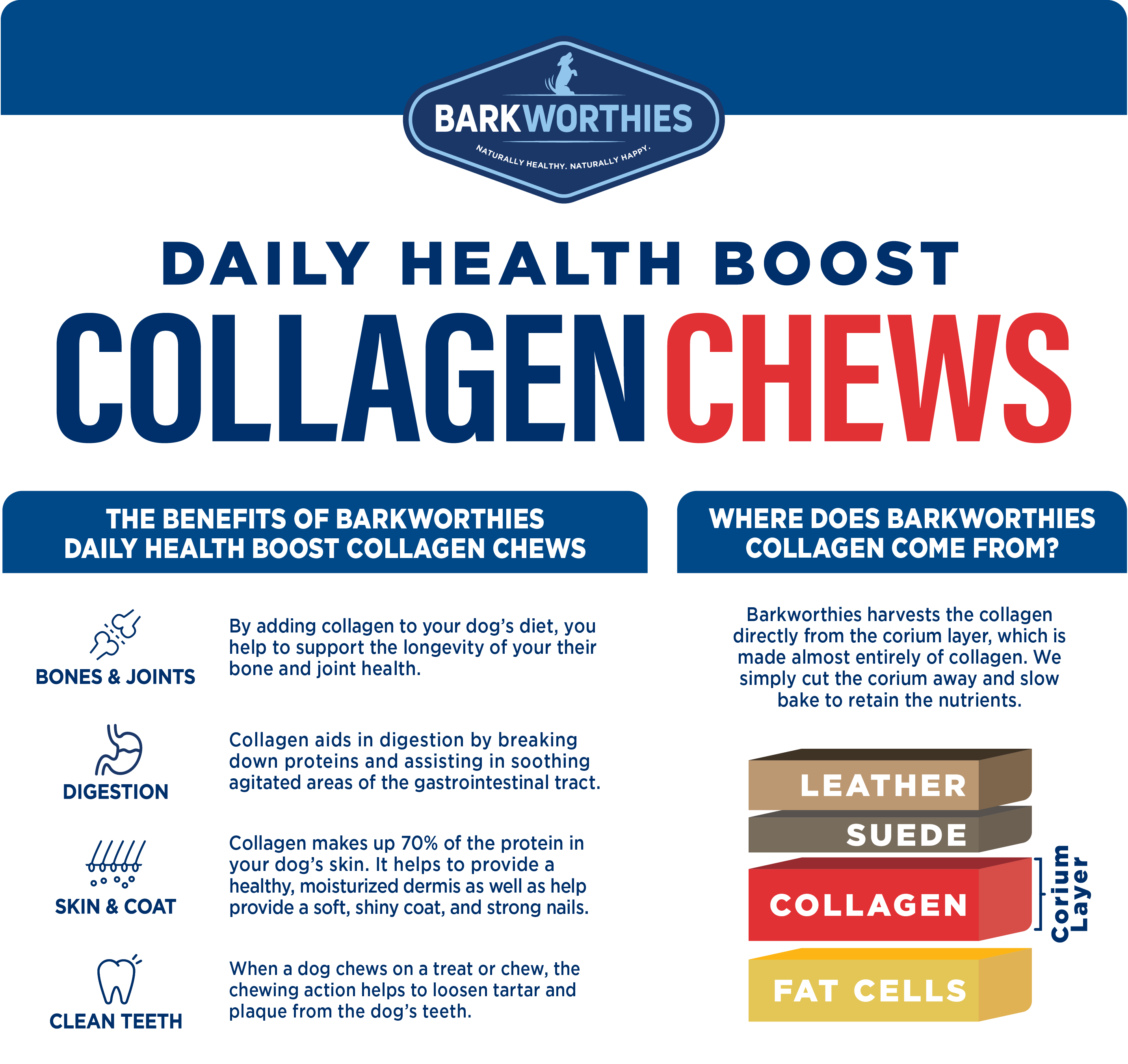 Daily Health Boost Collagen Benefits